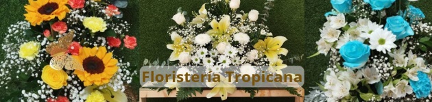 Floristería Tropicana